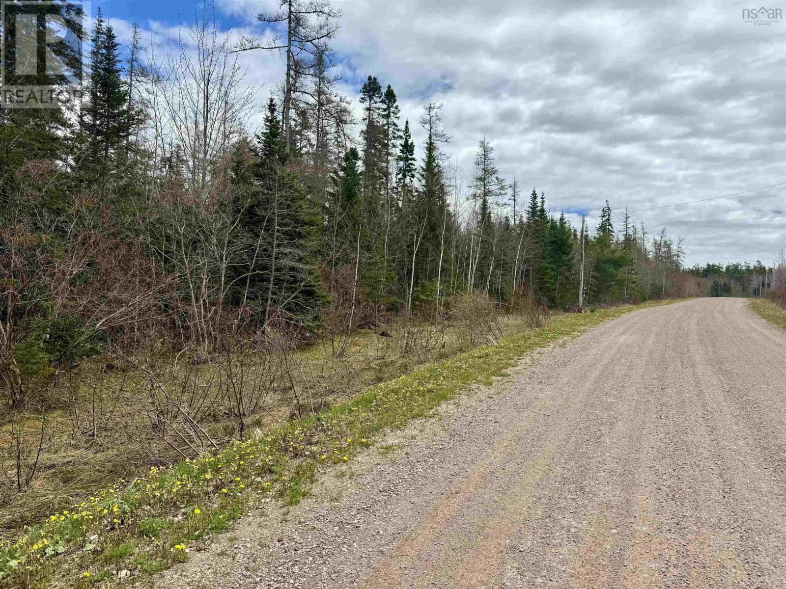 Lot(S) Joseph Macfarlane Drive, Whycocomagh Bay, Nova Scotia  B0E 2Y0 - Photo 8 - 202410557