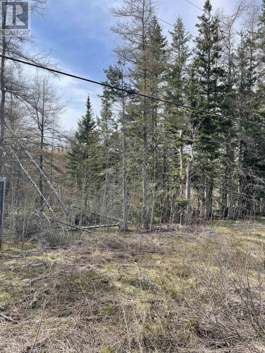 2 Lots 395 Highway, Ainslie Glen, Nova Scotia  B0E 3M0 - Photo 3 - 202410574