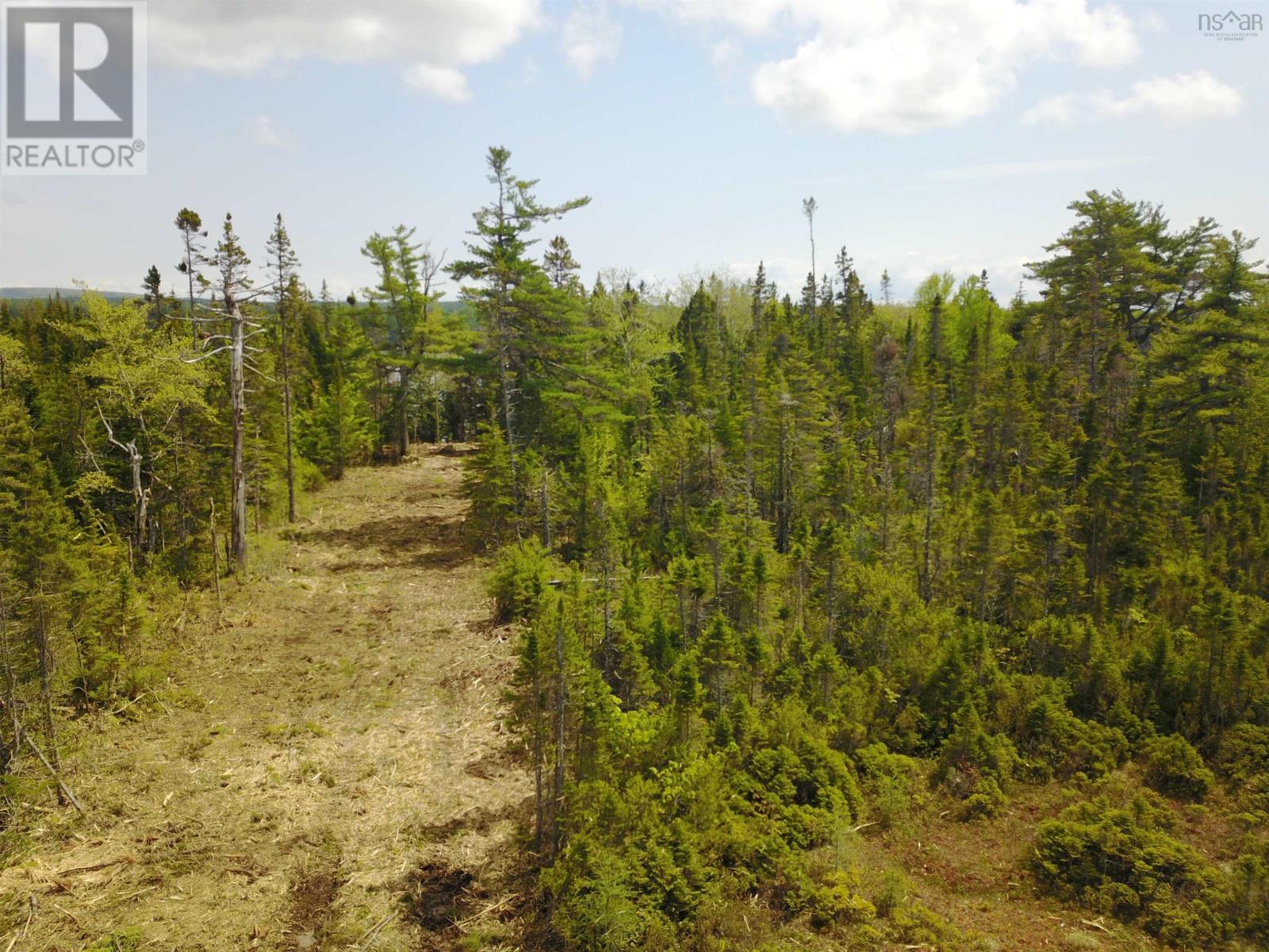 Macleod's Point Road, Hwy 105, Bucklaw, Nova Scotia  B0E 3M0 - Photo 10 - 202410596