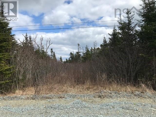 117+113 Quoddy Drive, West Quoddy, Nova Scotia  B0H 1W0 - Photo 12 - 202410647