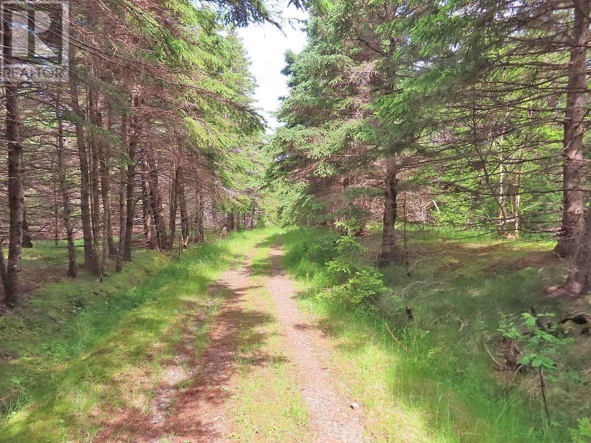 Lot 126 Manfred Prekau Drive, Hay Cove, Nova Scotia  B0E 3B0 - Photo 17 - 202410765