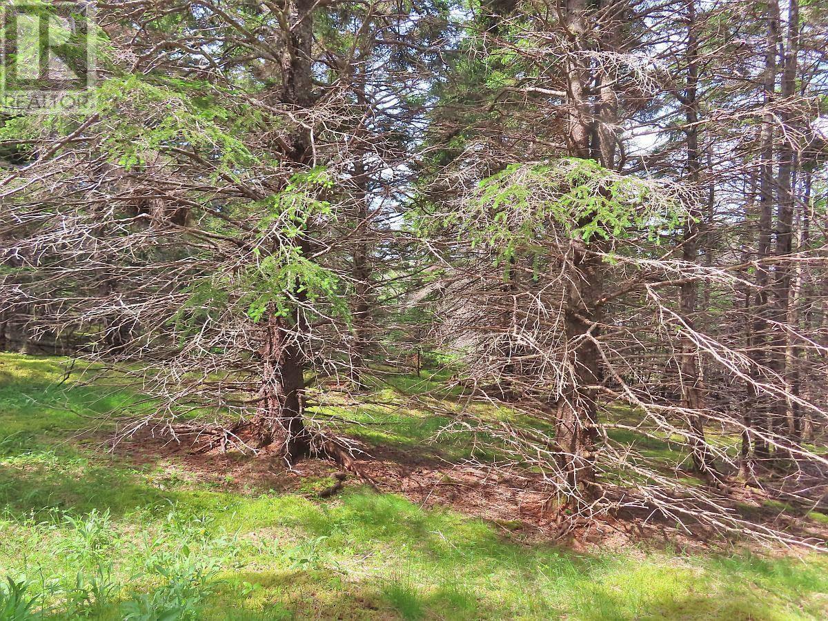 Lot 126 Manfred Prekau Drive, Hay Cove, Nova Scotia  B0E 3B0 - Photo 18 - 202410765