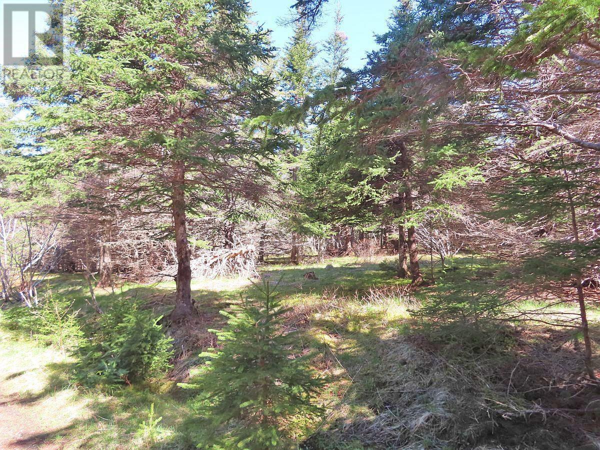 Lot 126 Manfred Prekau Drive, Hay Cove, Nova Scotia  B0E 3B0 - Photo 19 - 202410765