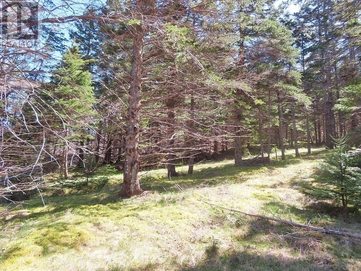 Lot 126 Manfred Prekau Drive, Hay Cove, Nova Scotia  B0E 3B0 - Photo 20 - 202410765