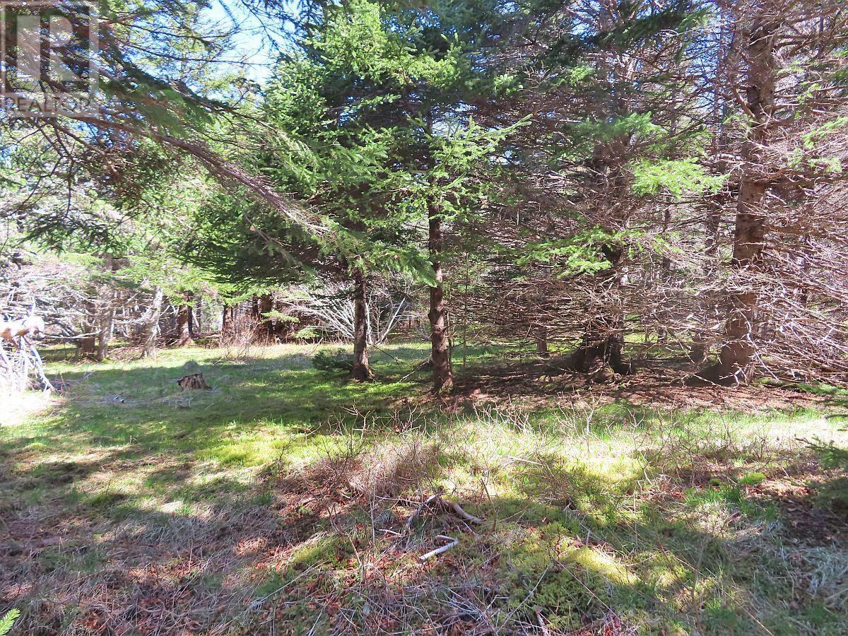 Lot 126 Manfred Prekau Drive, Hay Cove, Nova Scotia  B0E 3B0 - Photo 21 - 202410765