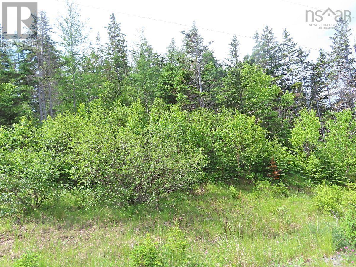 Lot 126 Manfred Prekau Drive, Hay Cove, Nova Scotia  B0E 3B0 - Photo 22 - 202410765