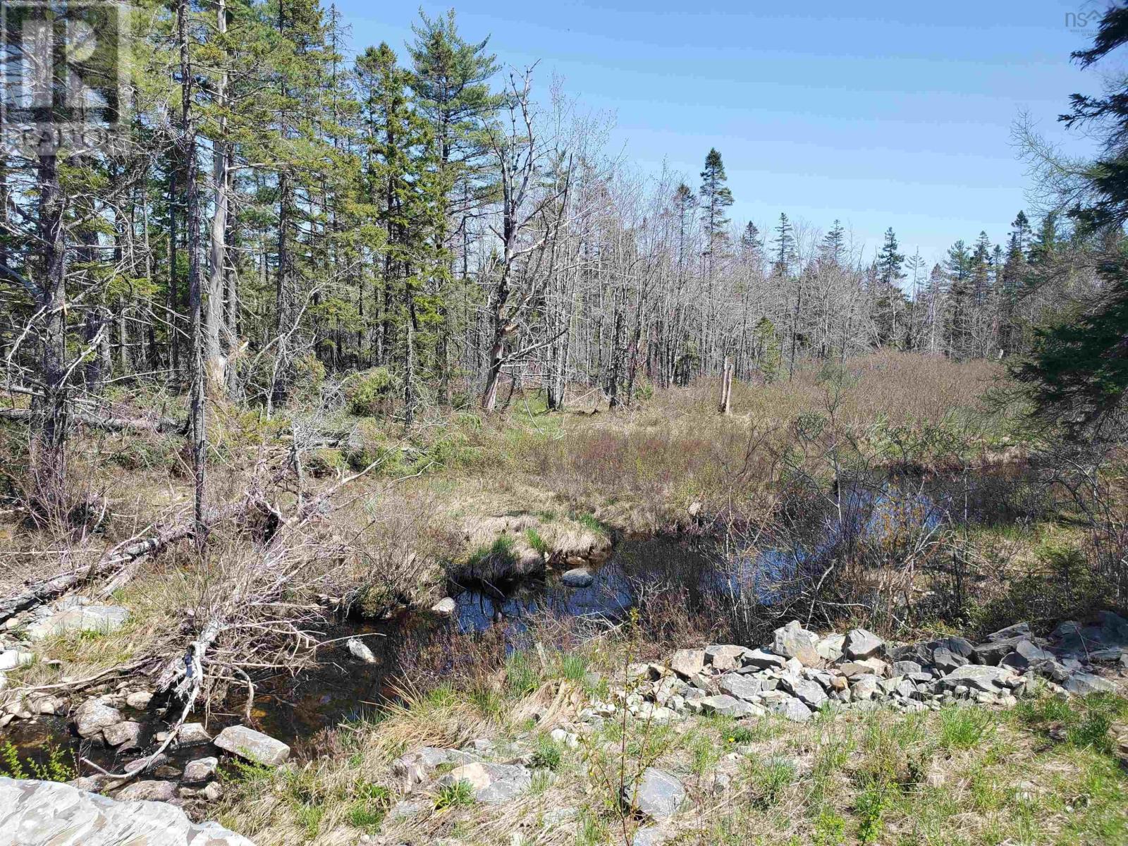 Lot 71 Meerk Arm Trail, East Uniacke, Nova Scotia  B0N 1Z0 - Photo 6 - 202410828