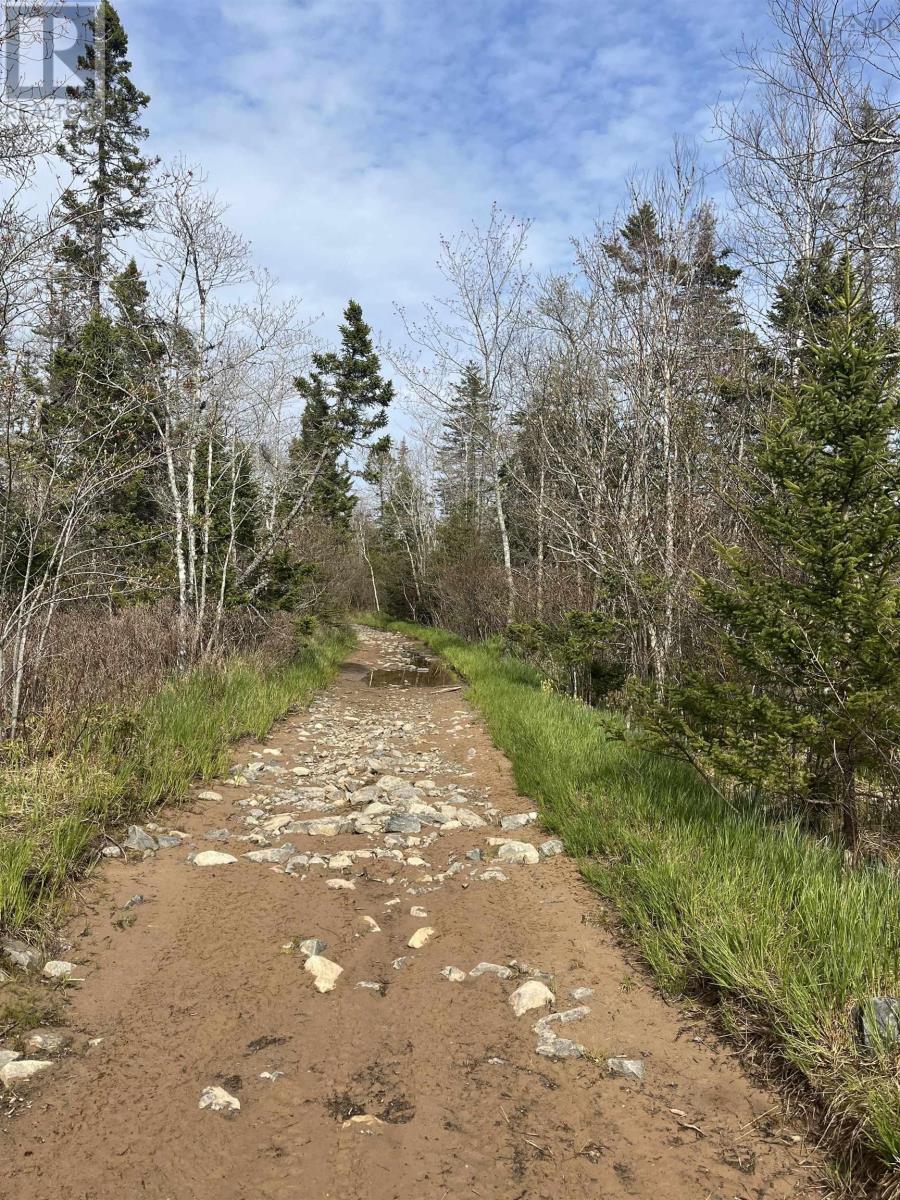 Lot 3 Old Minesville Road, Lot 3 Smelt Brook, Middle Porters Lake, Nova Scotia  B3K 1K9 - Photo 10 - 202410881