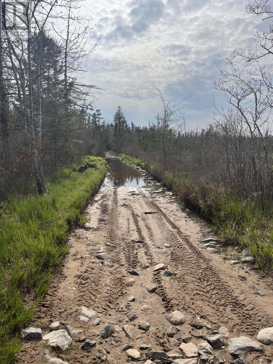 Lot 3 Old Minesville Road, Lot 3 Smelt Brook, Middle Porters Lake, Nova Scotia  B3K 1K9 - Photo 11 - 202410881