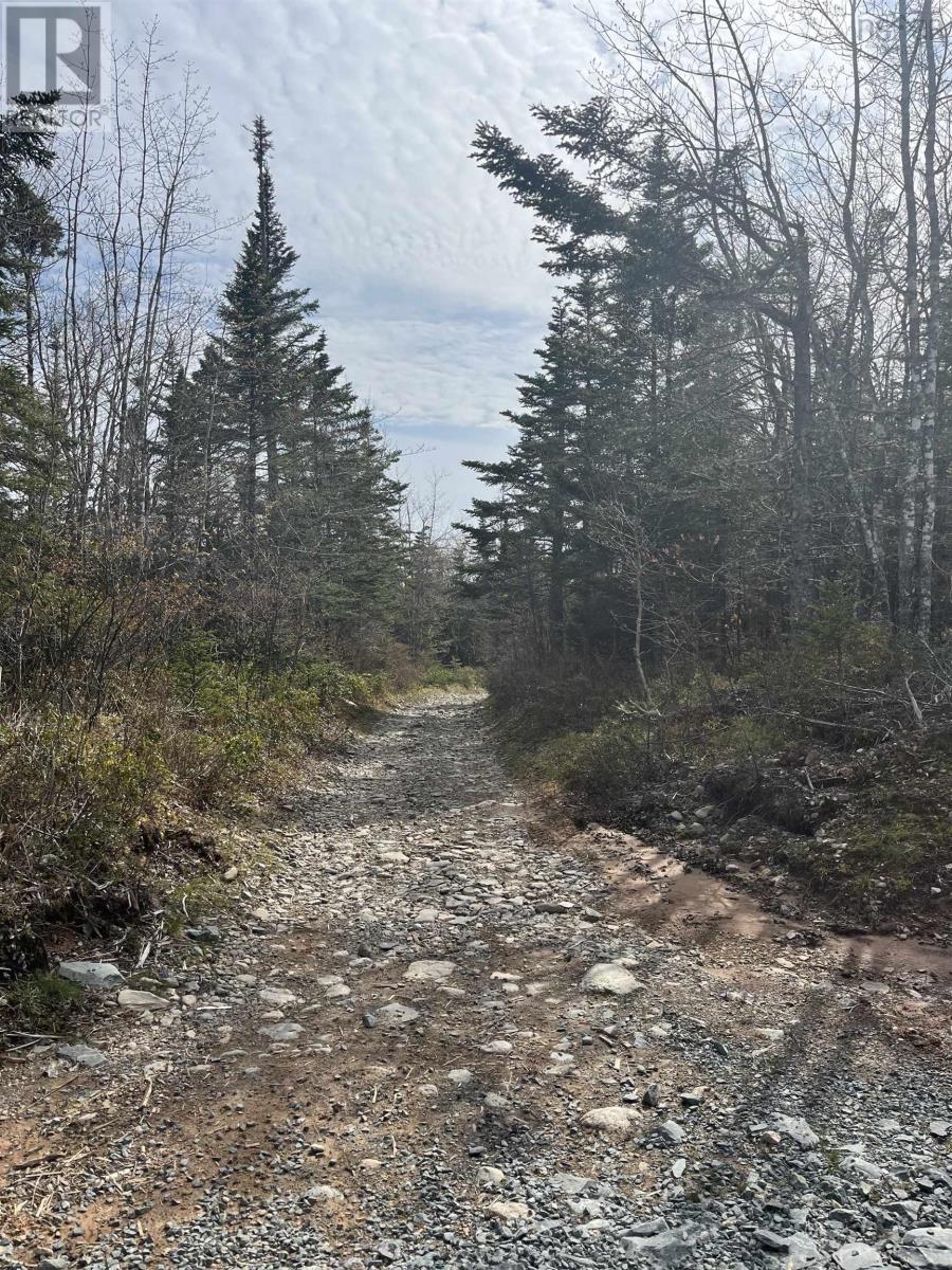 Lot 3 Old Minesville Road, Lot 3 Smelt Brook, Middle Porters Lake, Nova Scotia  B3K 1K9 - Photo 12 - 202410881