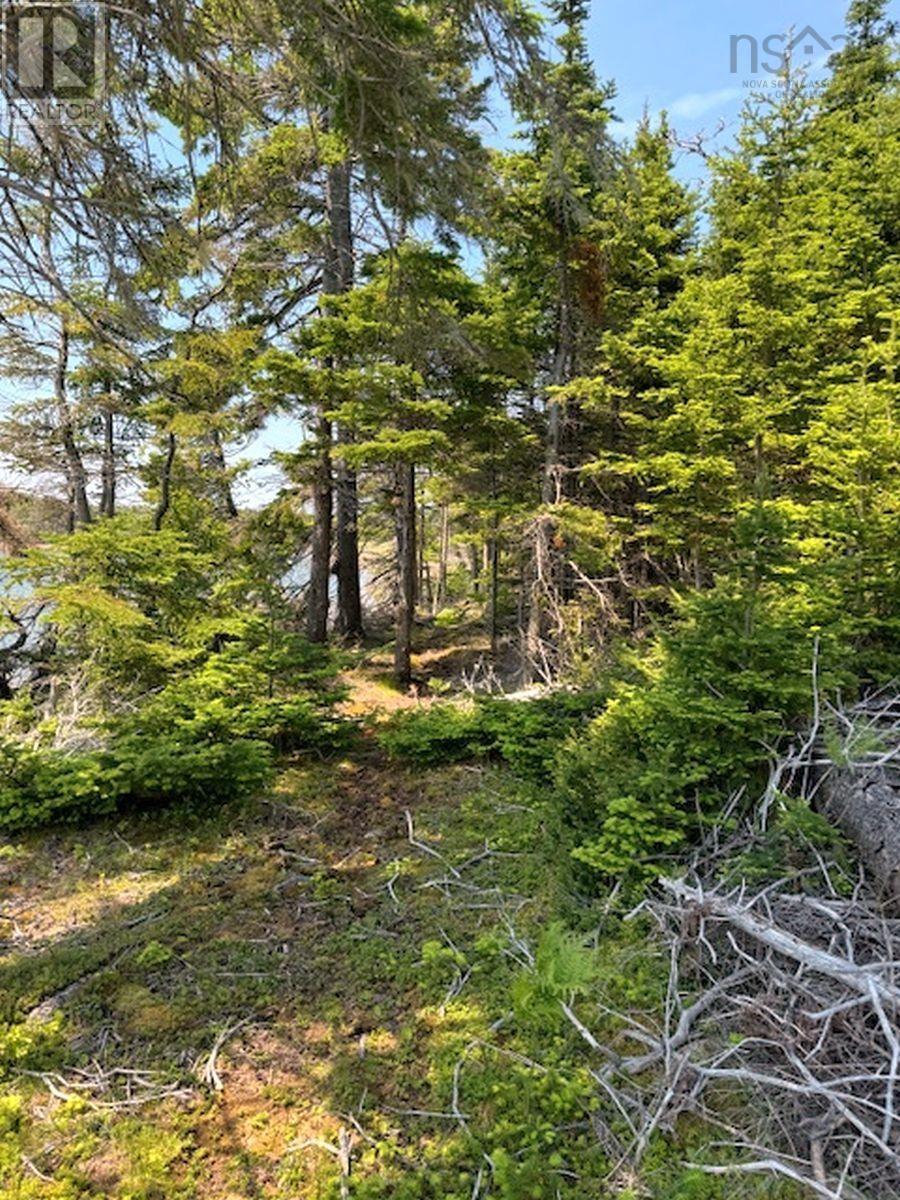 Lot7 Janvrin Harbour Road, St. Marys, Nova Scotia  B0E 3J0 - Photo 18 - 202410945