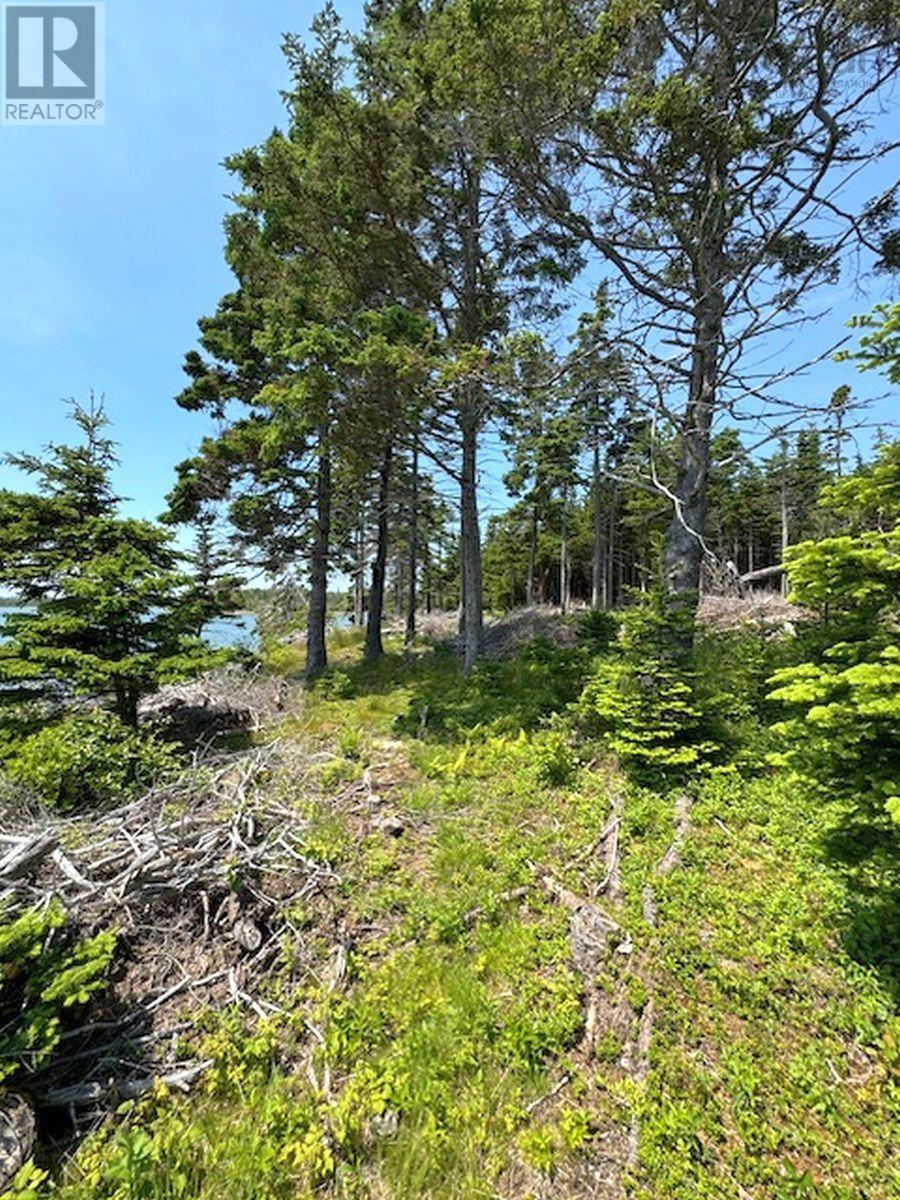 Lot7 Janvrin Harbour Road, St. Marys, Nova Scotia  B0E 3J0 - Photo 19 - 202410945