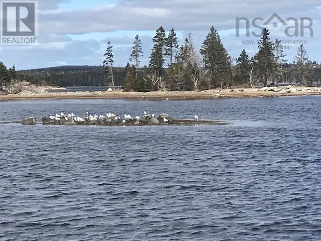 Lot 13 59 Quoddy Drive, West Quoddy, Nova Scotia  B0H 1W0 - Photo 12 - 202410952