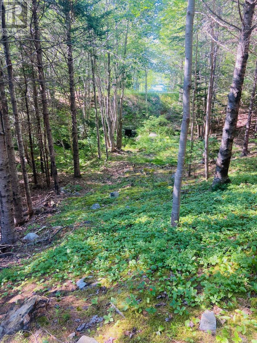 Lot 3 Evergreen Lane, Chester Basin, Nova Scotia  B0J 1K0 - Photo 6 - 202410962