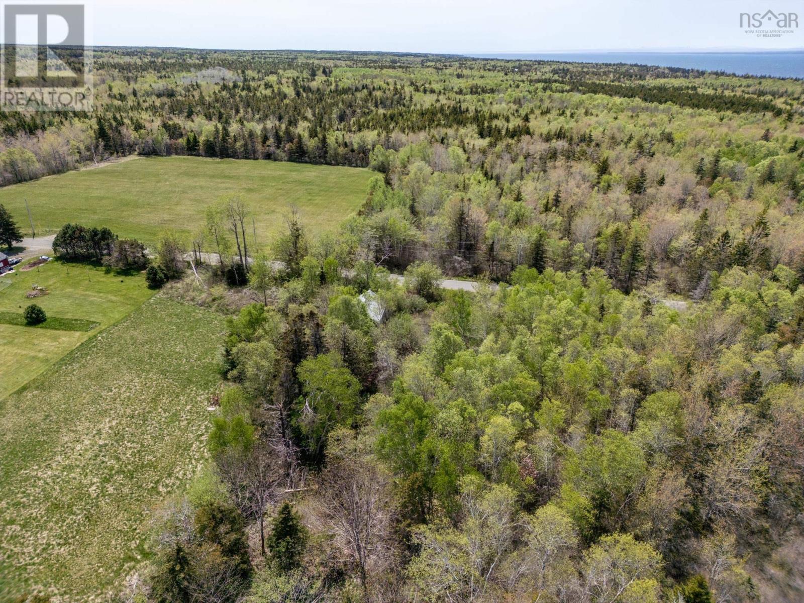 Kinney Road, Ashmore, Nova Scotia  B0W 3T0 - Photo 10 - 202411209