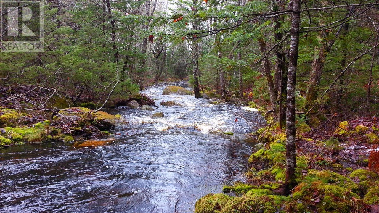 Lot Napier River, East Kemptville, Nova Scotia  B5A 5P4 - Photo 19 - 202411247