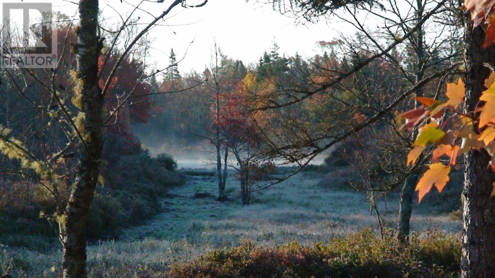 Lot Napier River, East Kemptville, Nova Scotia  B5A 5P4 - Photo 20 - 202411247