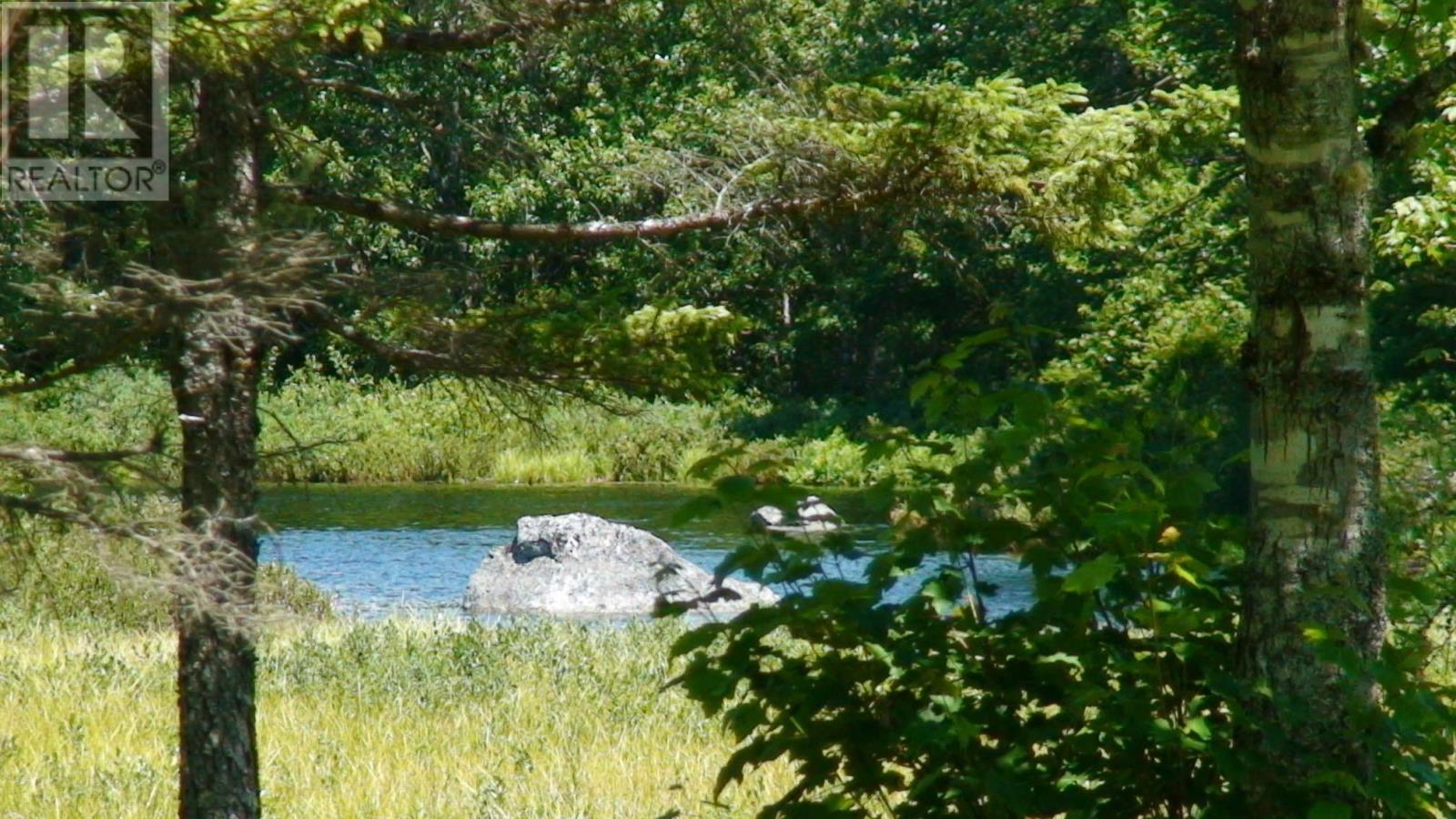 Lot Napier River, East Kemptville, Nova Scotia  B5A 5P4 - Photo 23 - 202411247