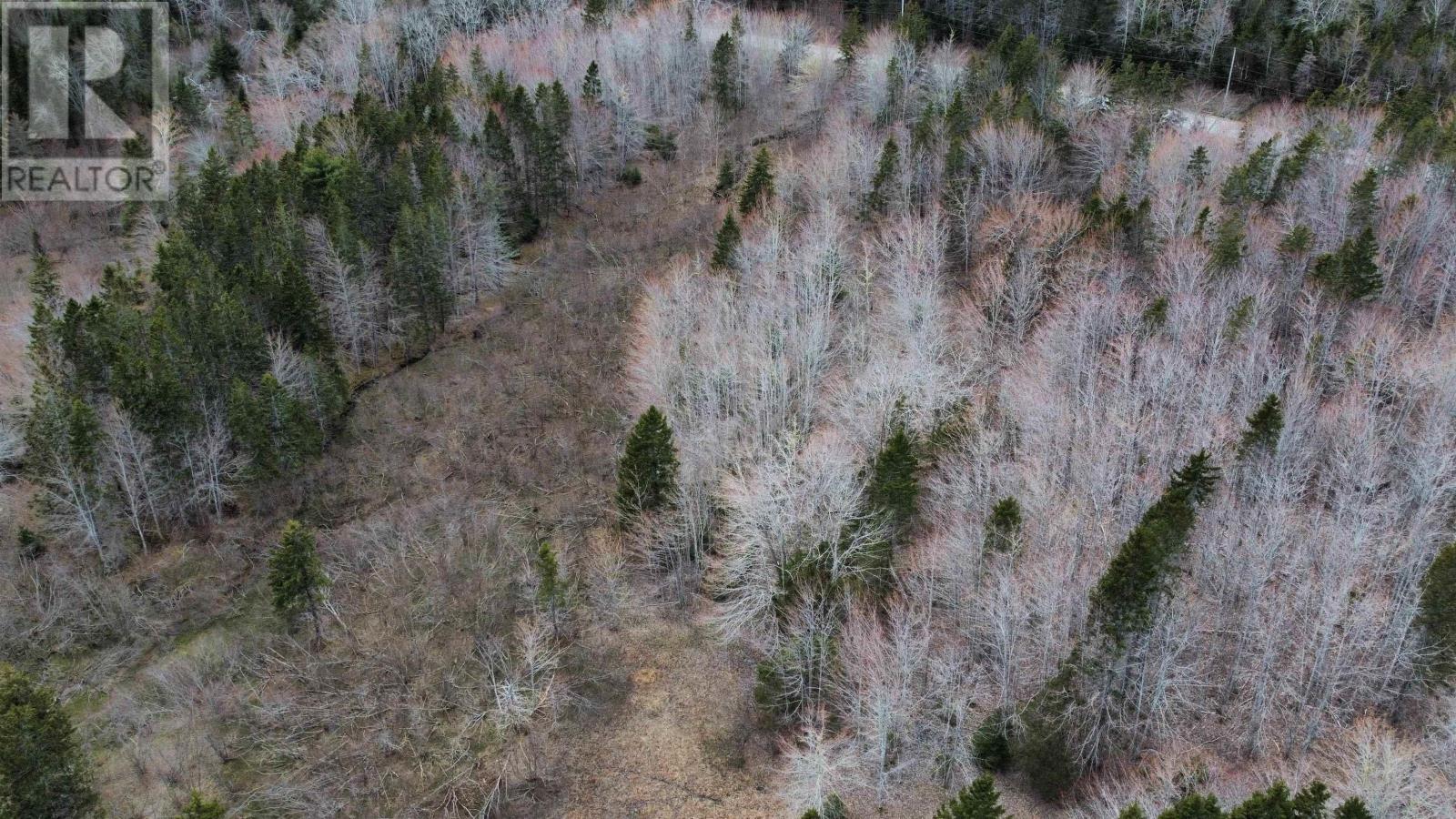 Lot 46 Marble Mountain Road, West Bay Marshes, Nova Scotia  B0E 3K0 - Photo 13 - 202411271