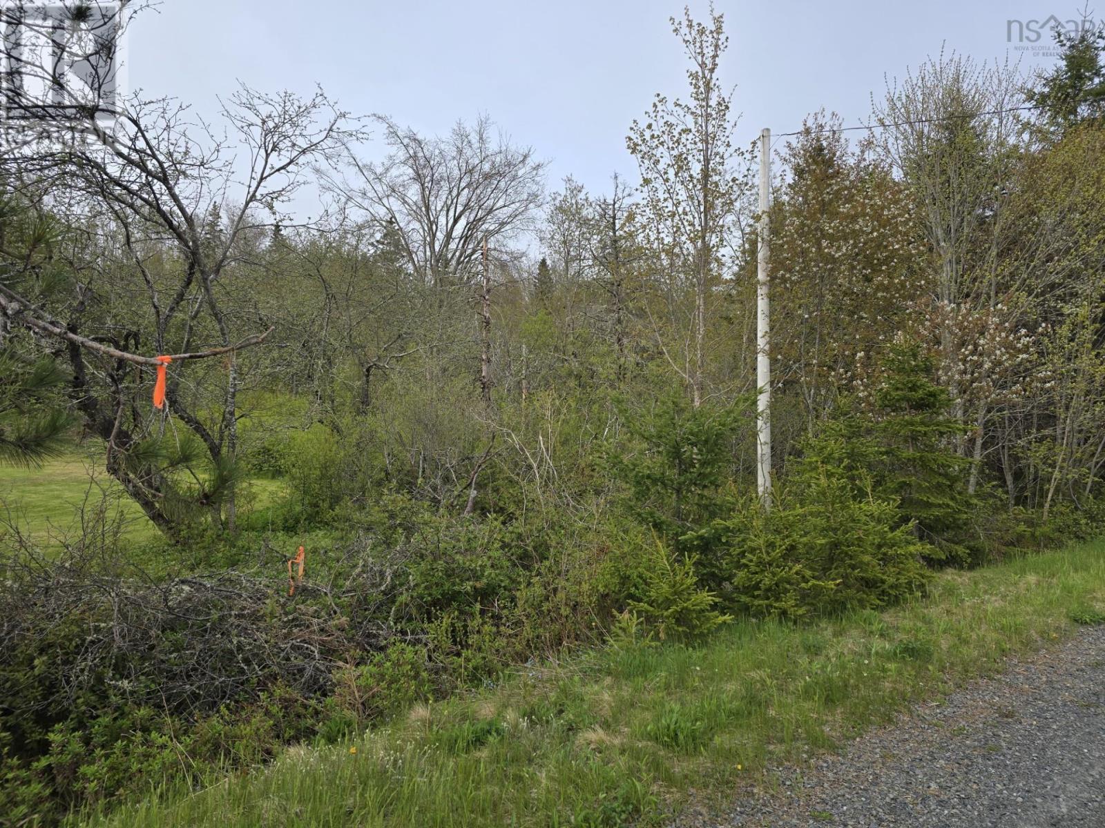 Lot East River West Side Road, Sunnybrae, Nova Scotia  B0K 1B0 - Photo 1 - 202411292