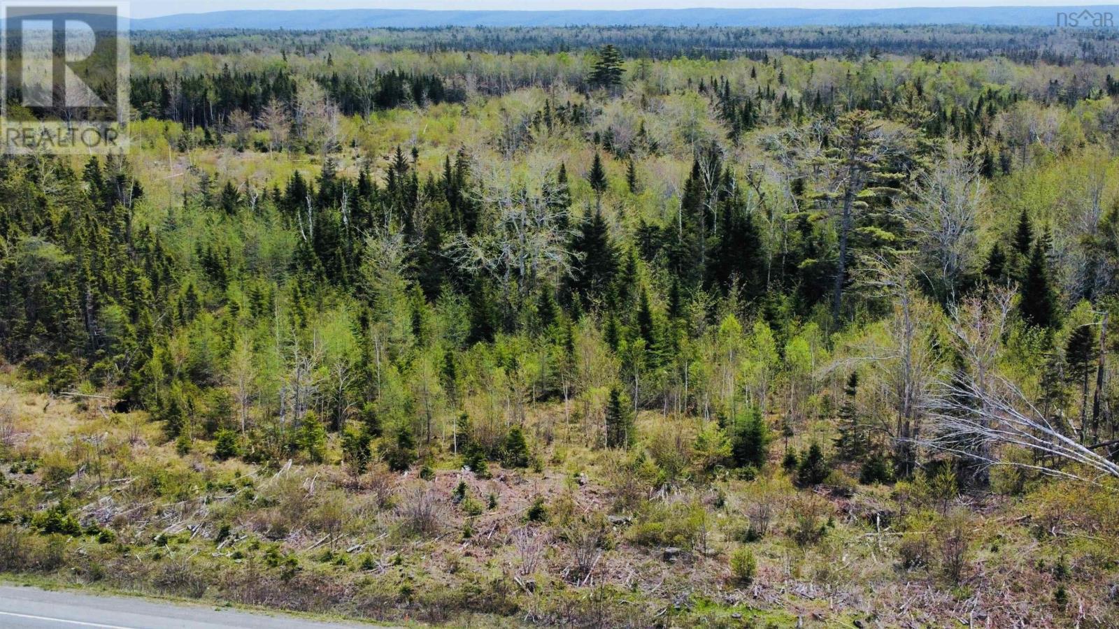 Lot 105 Highway, Blues Mills, Nova Scotia  B0E 3M0 - Photo 12 - 202411298