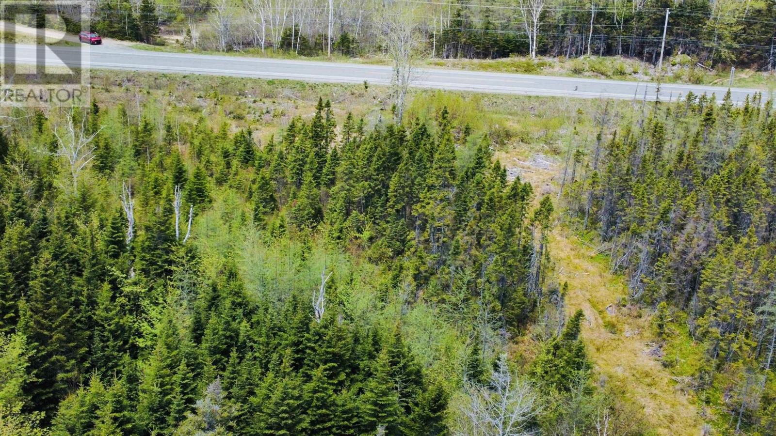 Lot 105 Highway, Blues Mills, Nova Scotia  B0E 3M0 - Photo 13 - 202411298