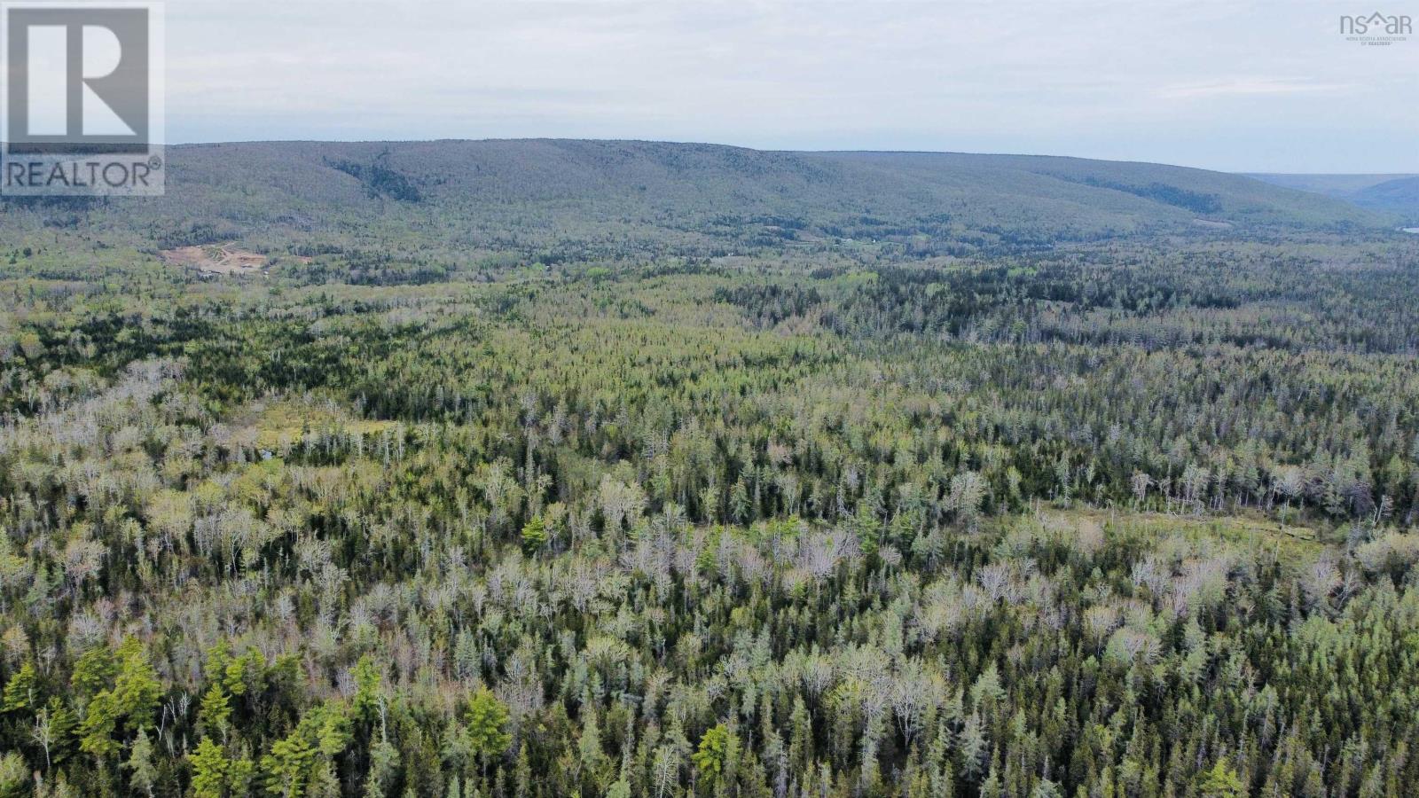 Lot 105 Highway, Blues Mills, Nova Scotia  B0E 3M0 - Photo 16 - 202411298