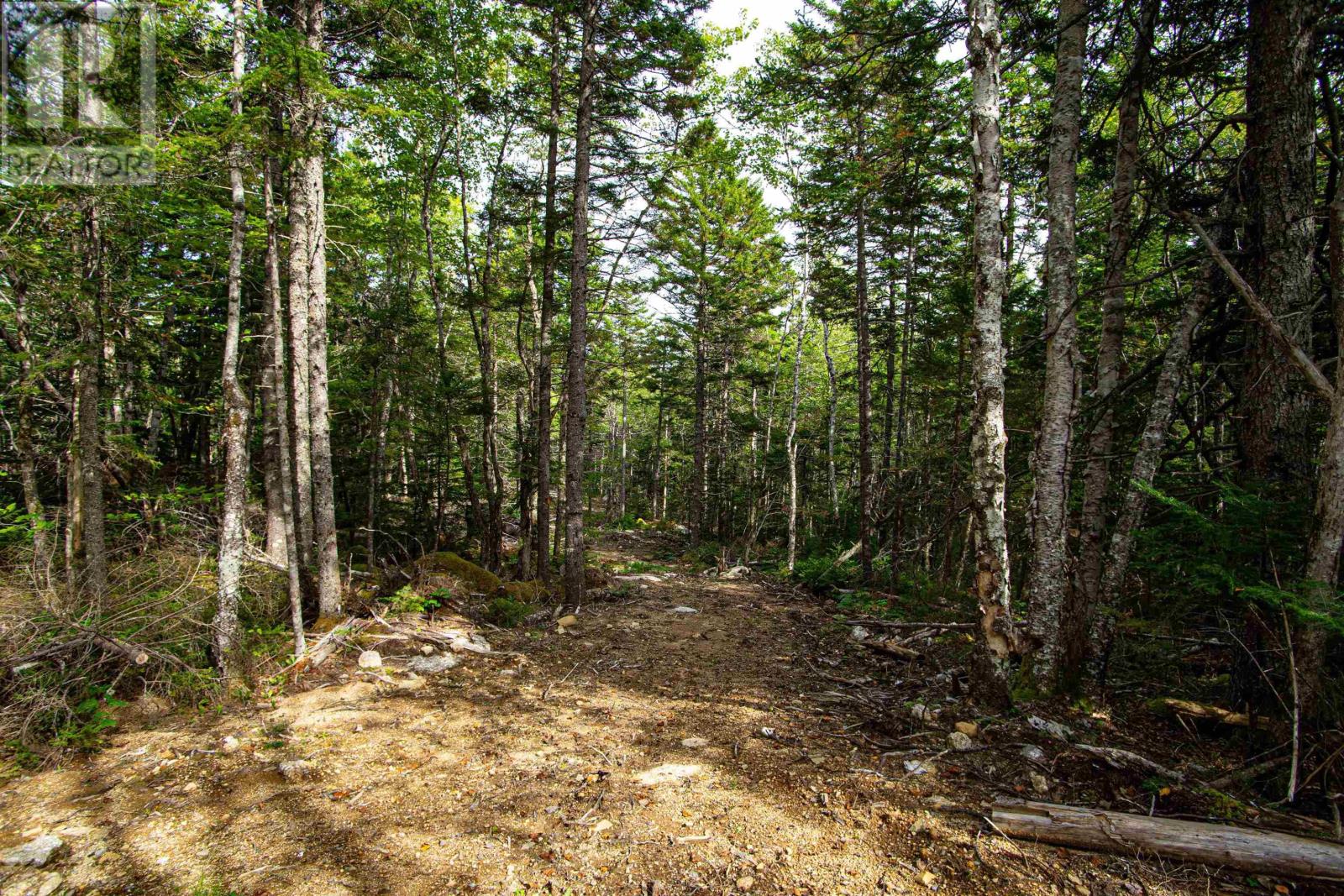 Lot Victory Road, Greenland, Nova Scotia  B0S 1B0 - Photo 9 - 202411484