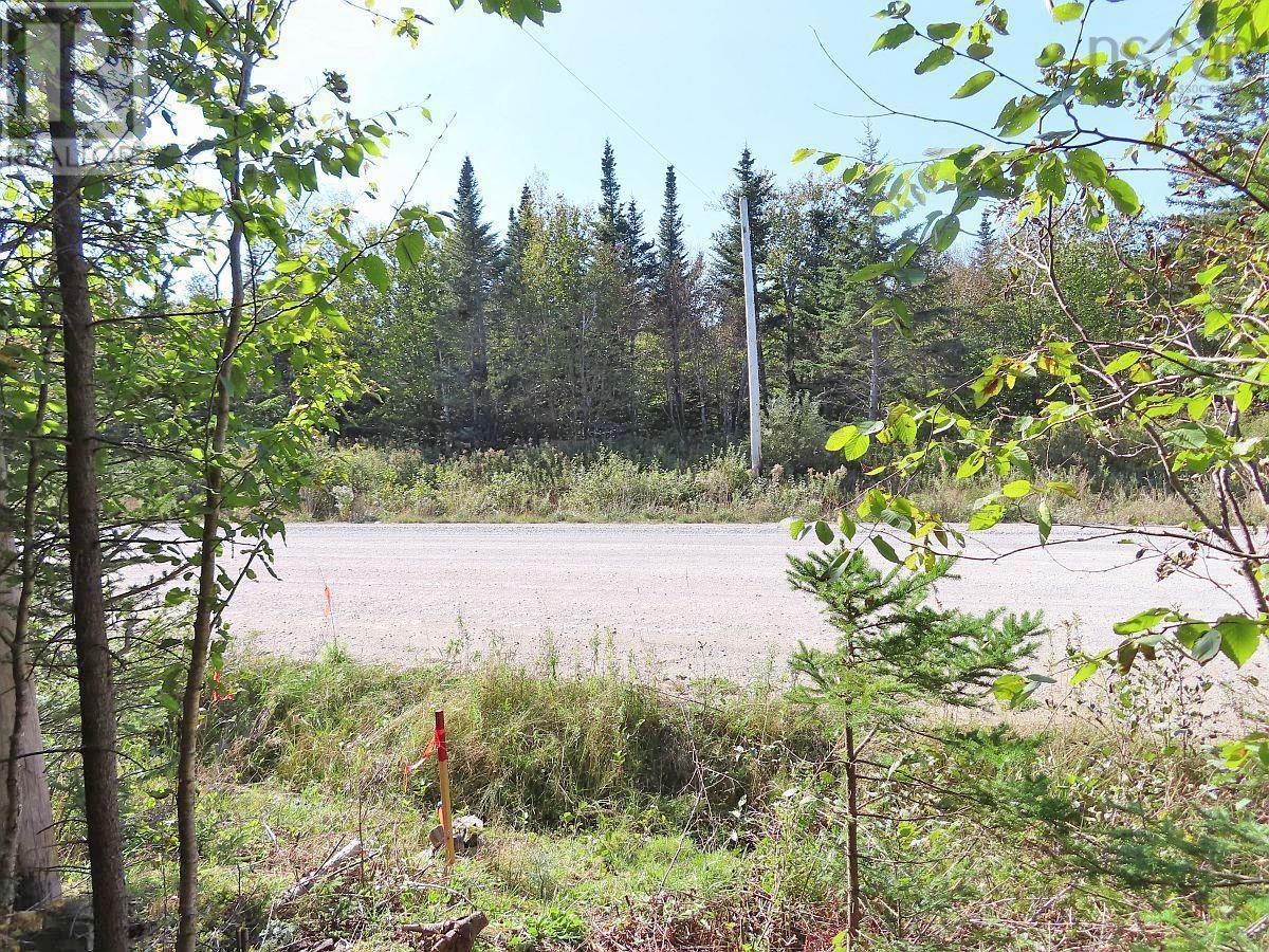 Lot 4 Loch Lomond Road, Big Pond, Nova Scotia  B1J 1R4 - Photo 12 - 202411604