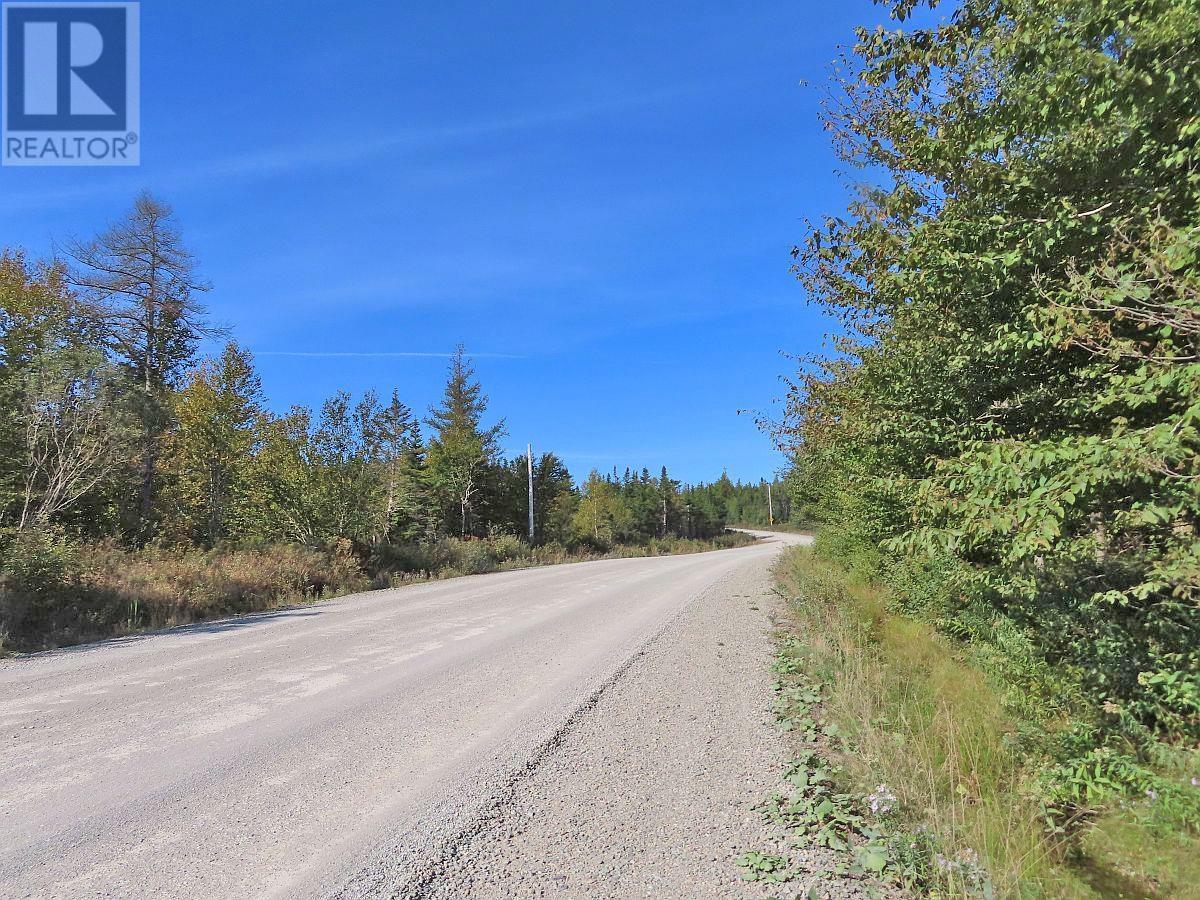 Lot 4 Loch Lomond Road, Big Pond, Nova Scotia  B1J 1R4 - Photo 13 - 202411604