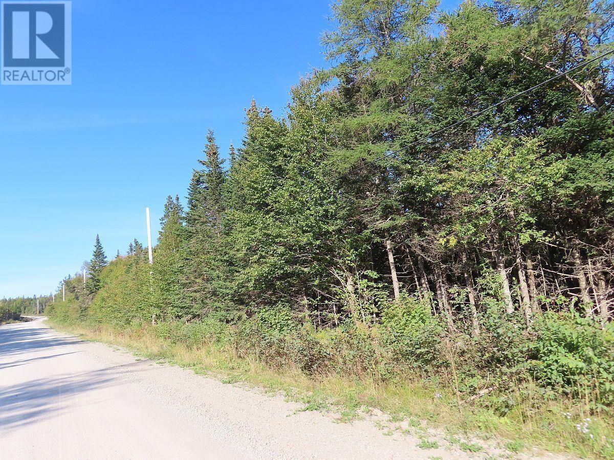 Lot 4 Loch Lomond Road, Big Pond, Nova Scotia  B1J 1R4 - Photo 14 - 202411604