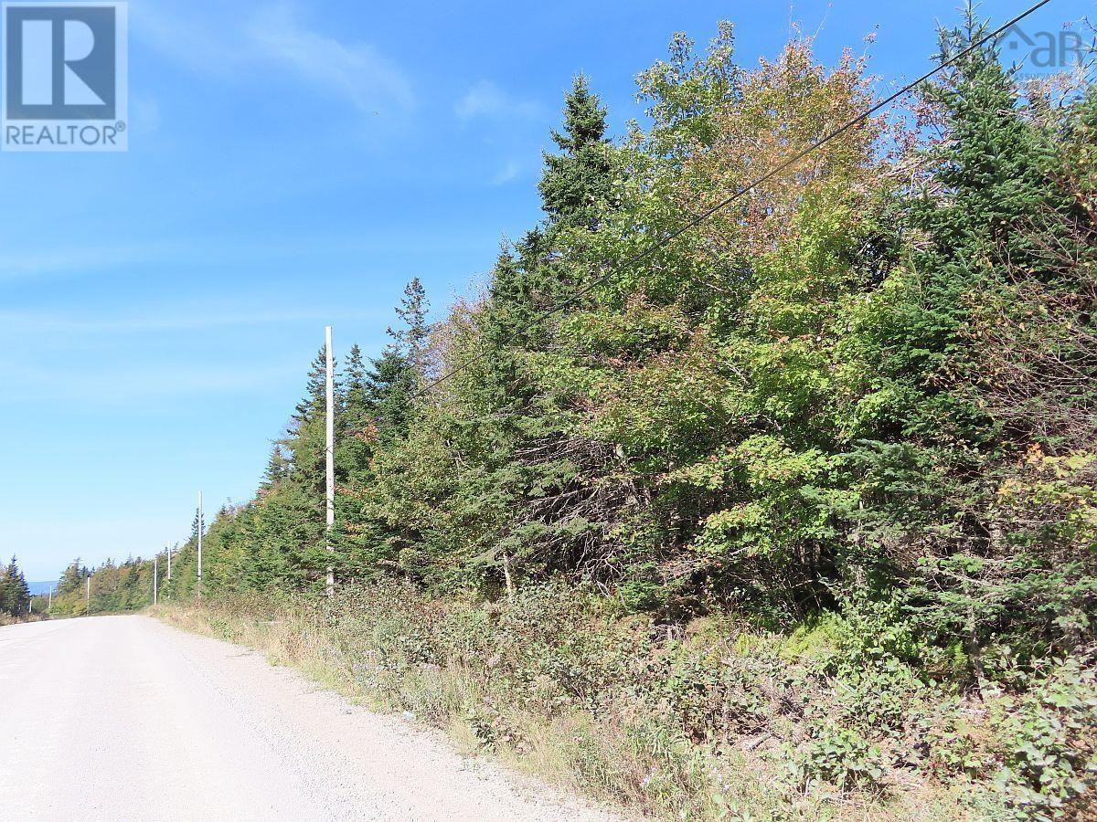 Lot 4 Loch Lomond Road, Big Pond, Nova Scotia  B1J 1R4 - Photo 16 - 202411604