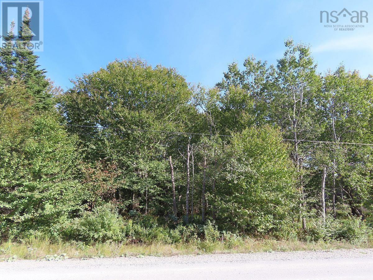 Lot 4 Loch Lomond Road, Big Pond, Nova Scotia  B1J 1R4 - Photo 17 - 202411604