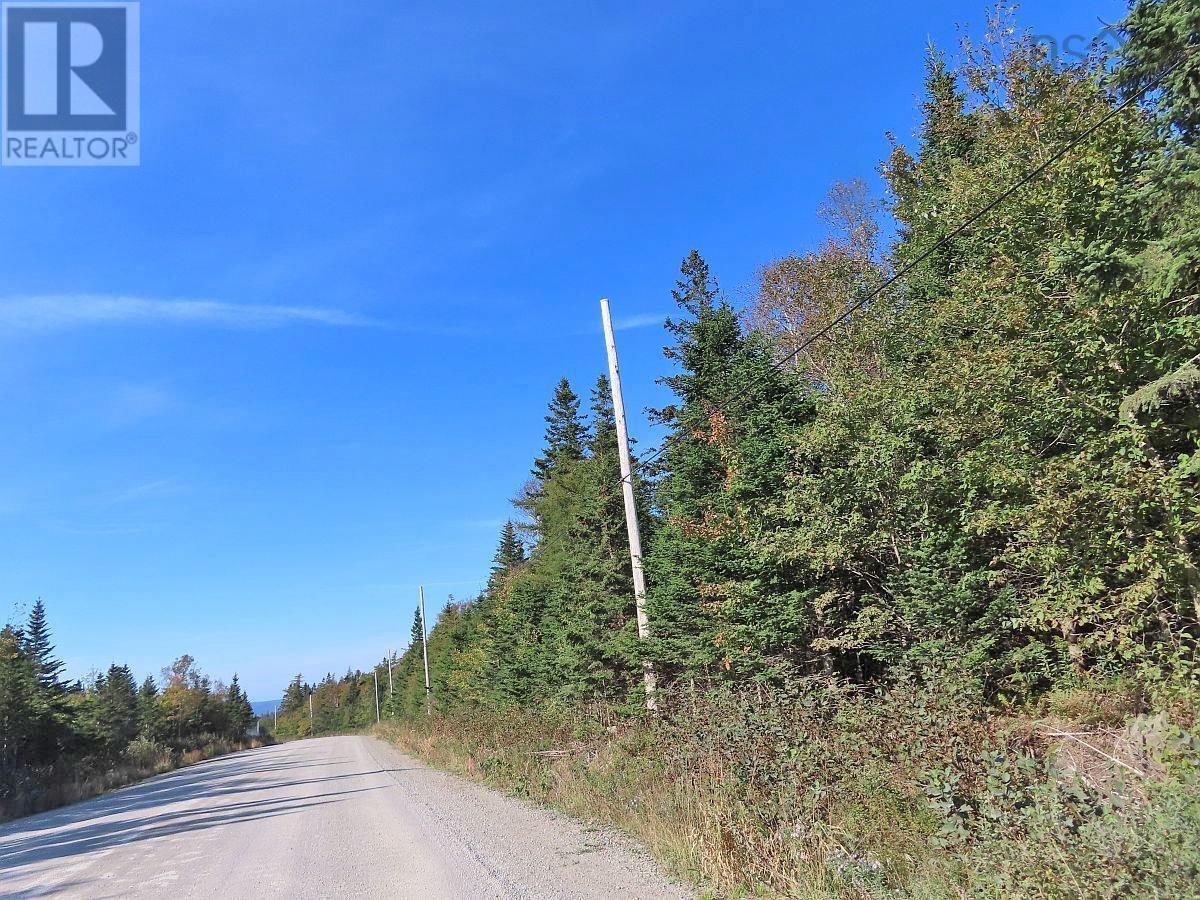 Lot 4 Loch Lomond Road, Big Pond, Nova Scotia  B1J 1R4 - Photo 18 - 202411604