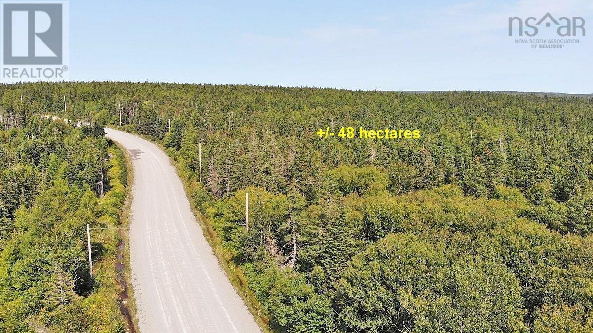 Lot 4 Loch Lomond Road, Big Pond, Nova Scotia  B1J 1R4 - Photo 19 - 202411604