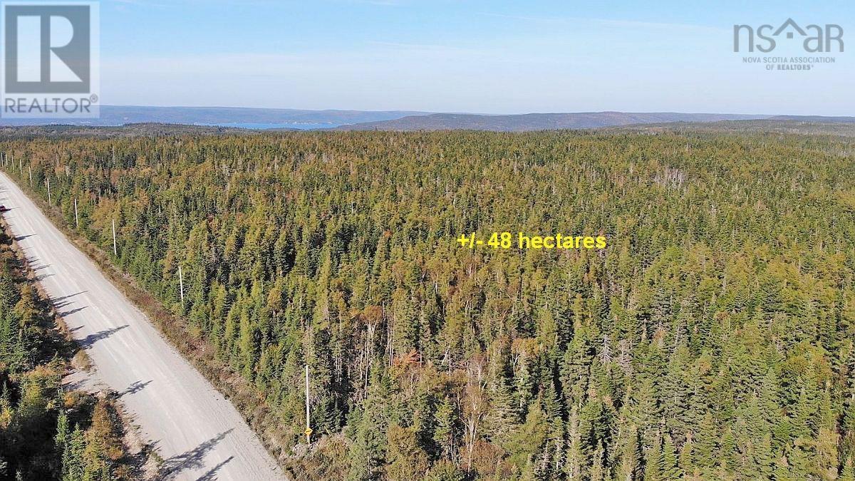 Lot 4 Loch Lomond Road, Big Pond, Nova Scotia  B1J 1R4 - Photo 20 - 202411604