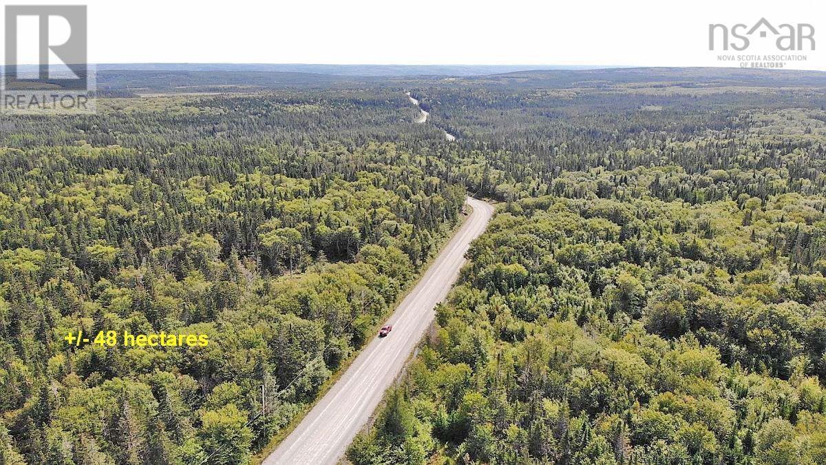 Lot 4 Loch Lomond Road, Big Pond, Nova Scotia  B1J 1R4 - Photo 25 - 202411604