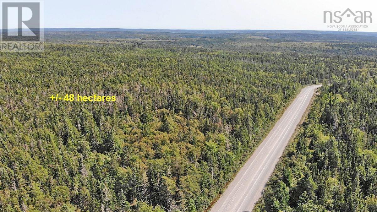 Lot 4 Loch Lomond Road, Big Pond, Nova Scotia  B1J 1R4 - Photo 26 - 202411604