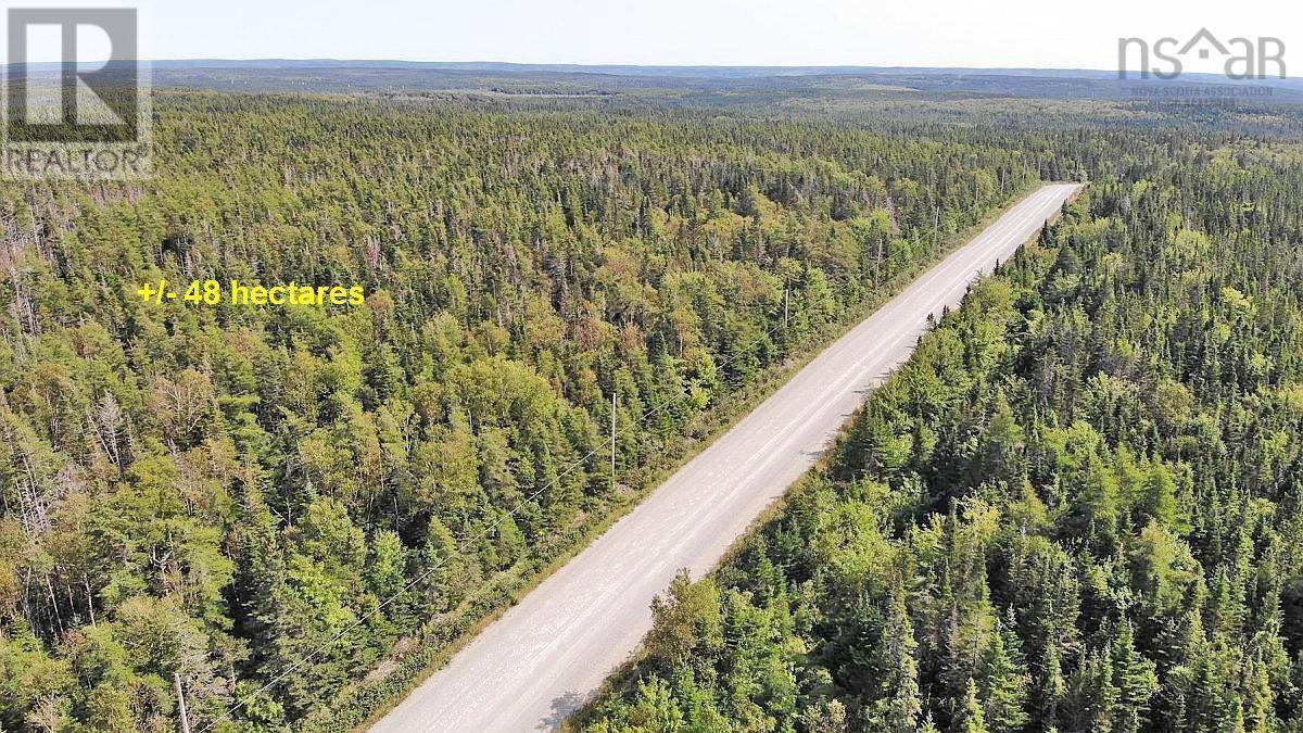 Lot 4 Loch Lomond Road, Big Pond, Nova Scotia  B1J 1R4 - Photo 27 - 202411604