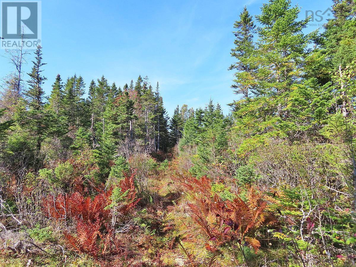 Lot 4 Loch Lomond Road, Big Pond, Nova Scotia  B1J 1R4 - Photo 3 - 202411604