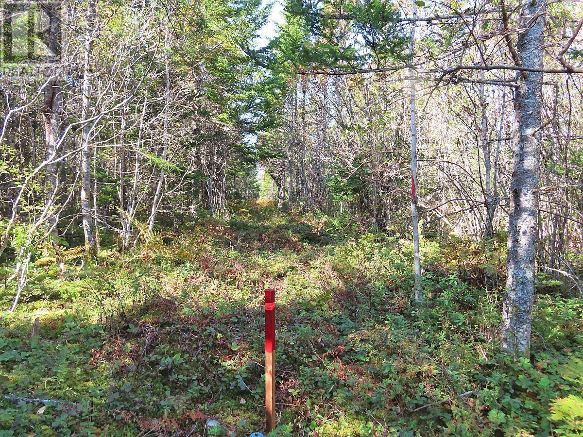 Lot 4 Loch Lomond Road, Big Pond, Nova Scotia  B1J 1R4 - Photo 5 - 202411604