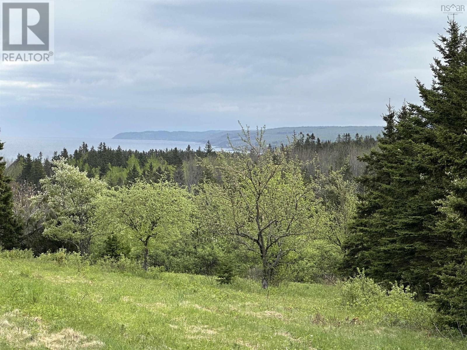 Dunroamin Road, Doctors Brook, Nova Scotia  B2G 2L1 - Photo 10 - 202411619