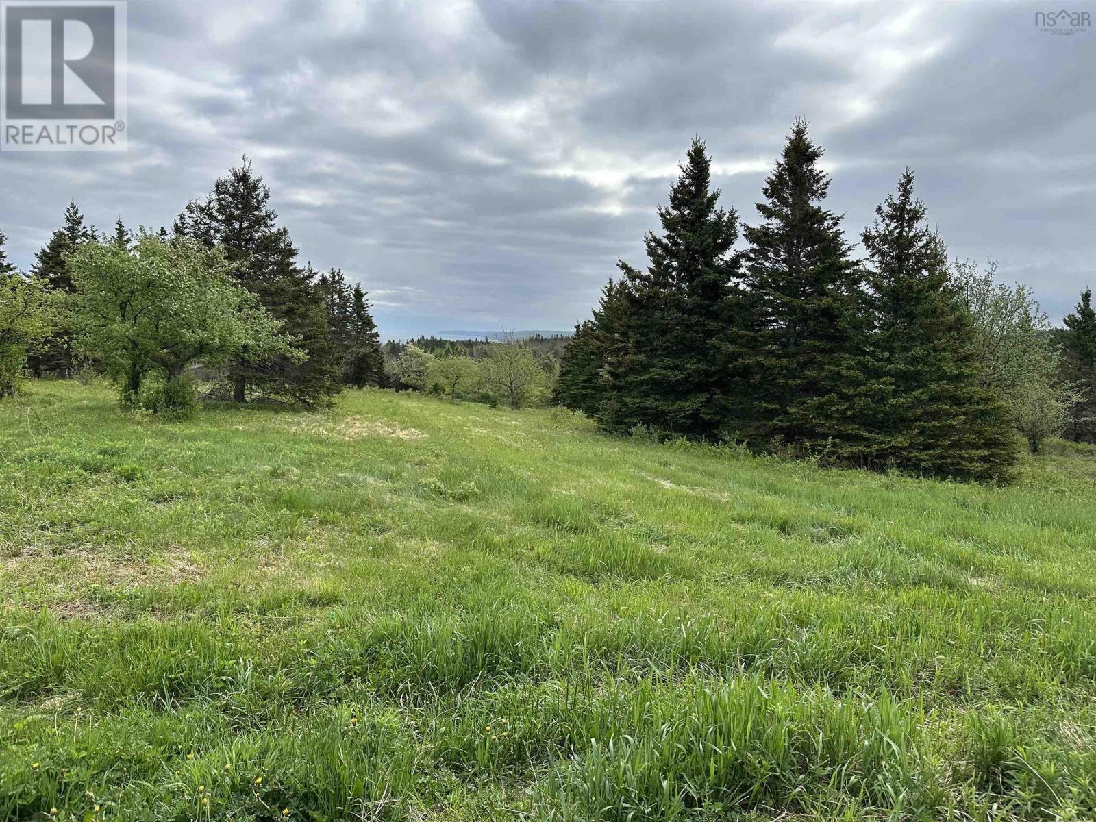 Dunroamin Road, Doctors Brook, Nova Scotia  B2G 2L1 - Photo 11 - 202411619