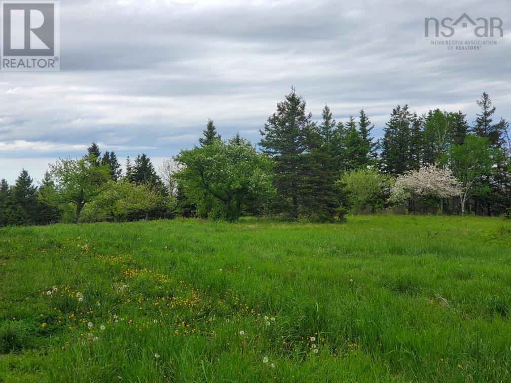 Dunroamin Road, Doctors Brook, Nova Scotia  B2G 2L1 - Photo 12 - 202411619