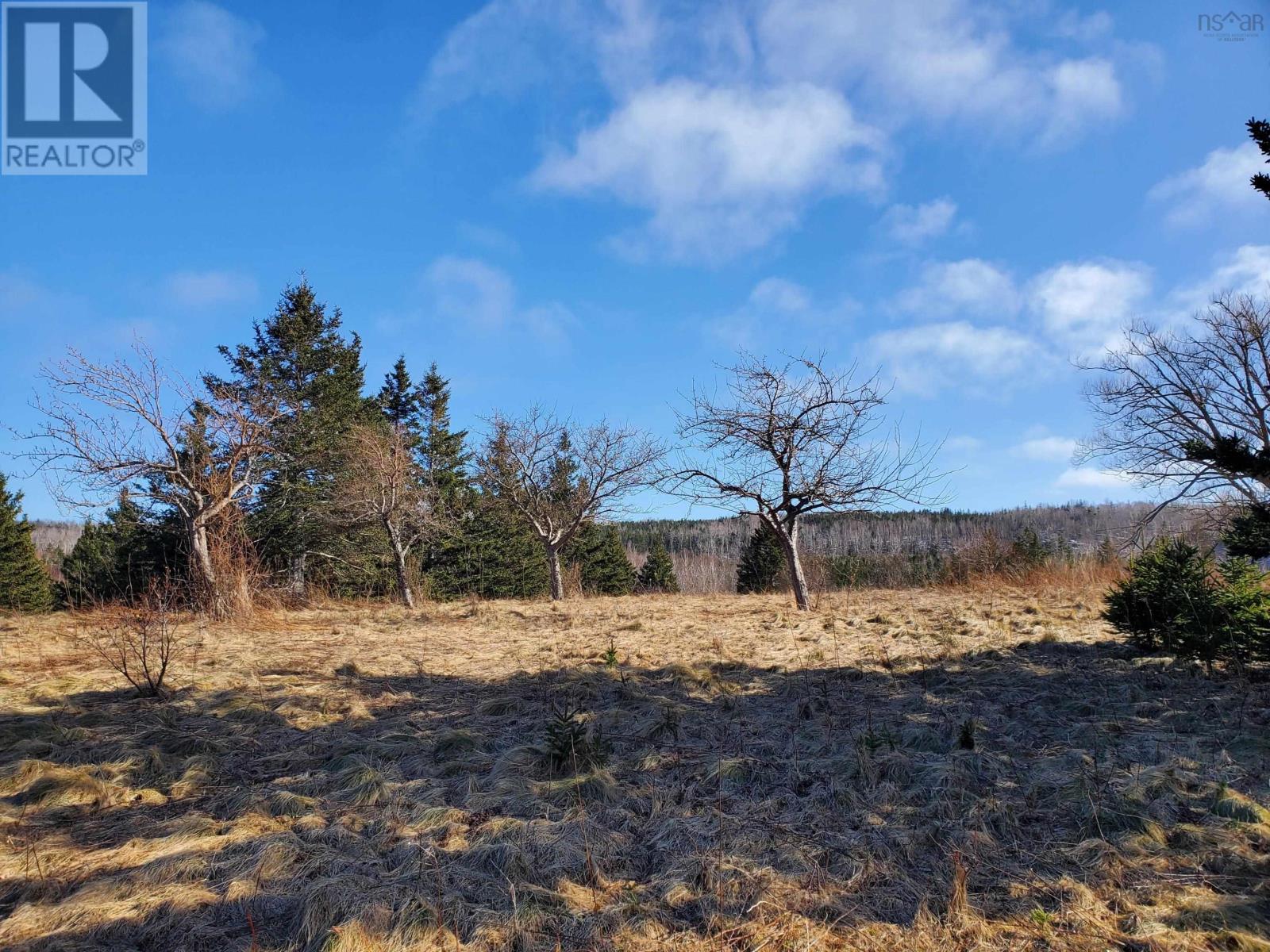 Dunroamin Road, Doctors Brook, Nova Scotia  B2G 2L1 - Photo 13 - 202411619