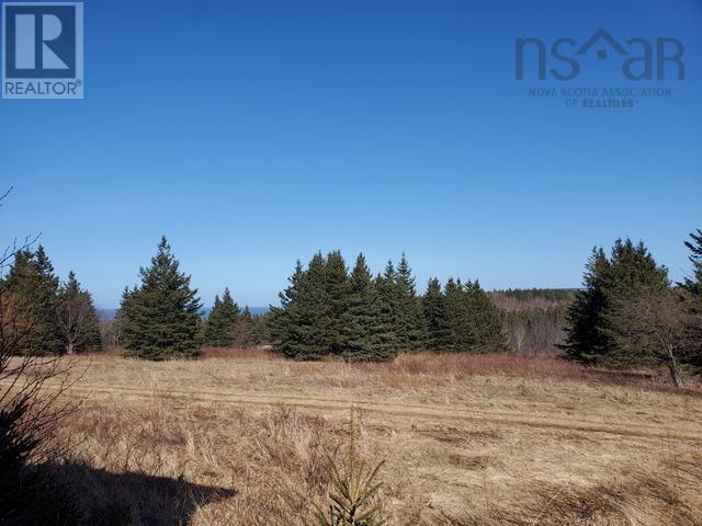 Dunroamin Road, Doctors Brook, Nova Scotia  B2G 2L1 - Photo 14 - 202411619