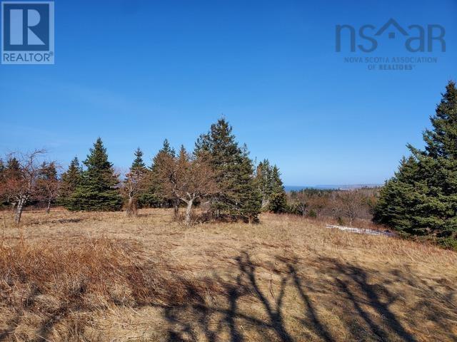 Dunroamin Road, Doctors Brook, Nova Scotia  B2G 2L1 - Photo 15 - 202411619