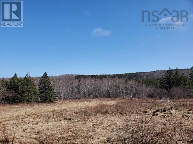 Dunroamin Road, Doctors Brook, Nova Scotia  B2G 2L1 - Photo 16 - 202411619