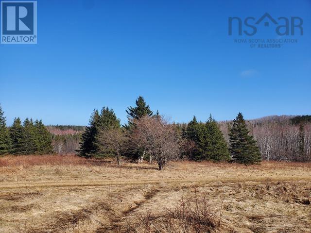 Dunroamin Road, Doctors Brook, Nova Scotia  B2G 2L1 - Photo 17 - 202411619