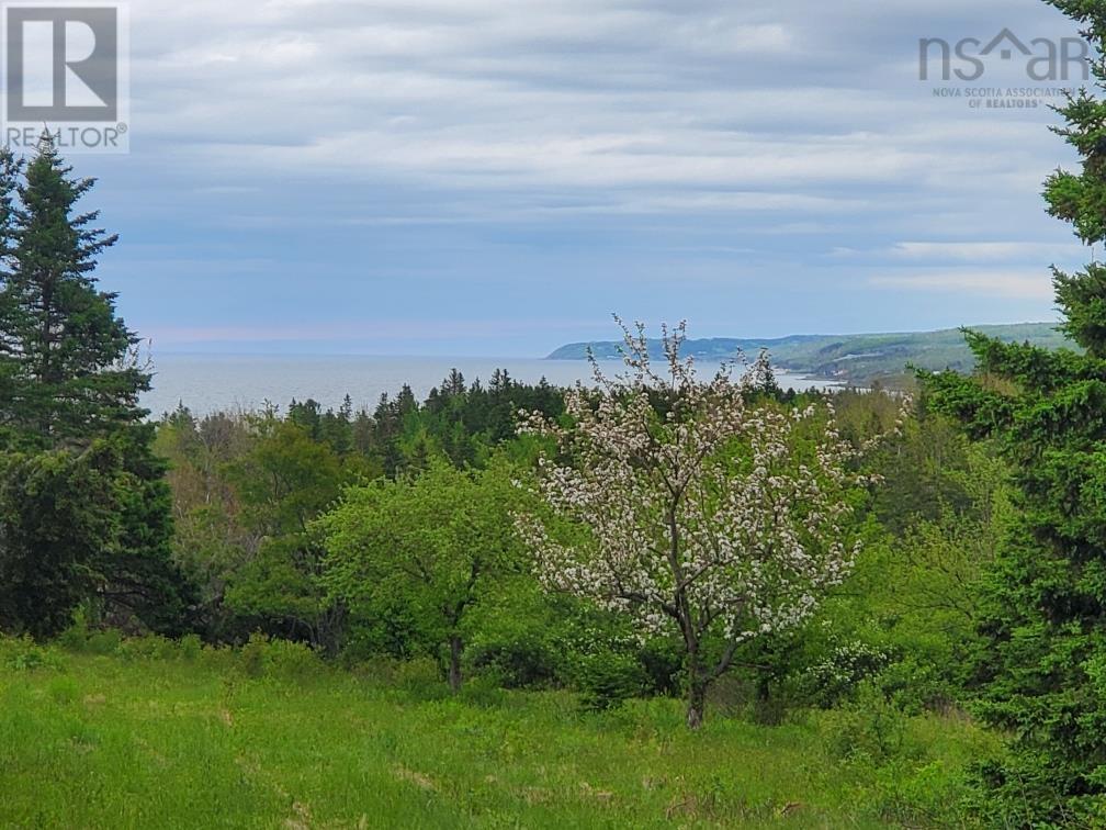 Dunroamin Road, Doctors Brook, Nova Scotia  B2G 2L1 - Photo 2 - 202411619